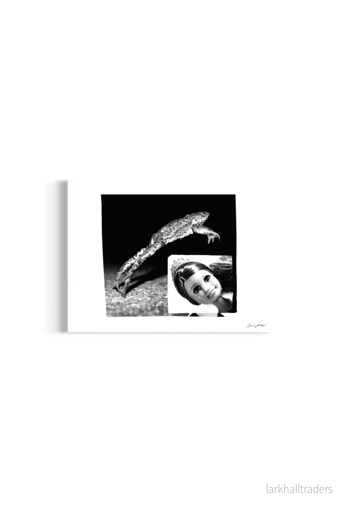 Overcoming Frog Poster - Bild 2