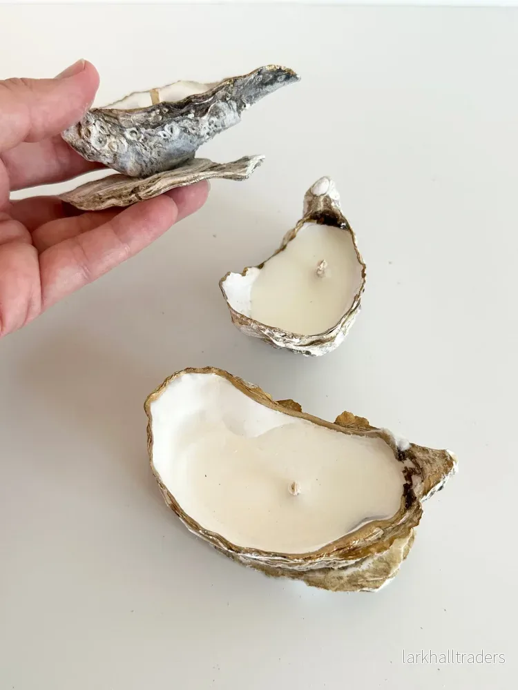Oyster Ljus Set om 3 / Adrian Gold Edge - Bild 3