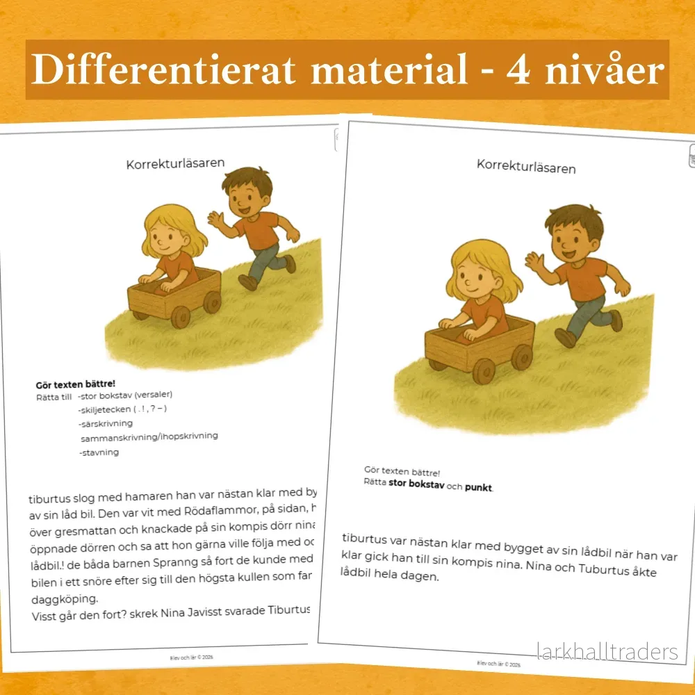 Korrekturläsaren 4 nivåer - Rätta stavfel, stor bokstav, punkt, skiljetecken mm. - Bild 2
