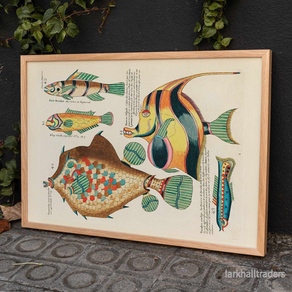 Färgstarka surrealistiska fiskillustrationer, 9 Poster