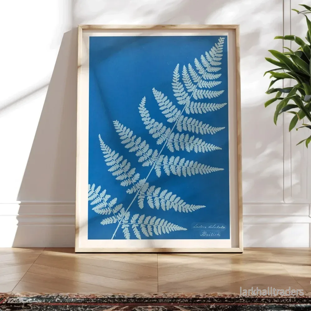 Lastrea dilatato Poster