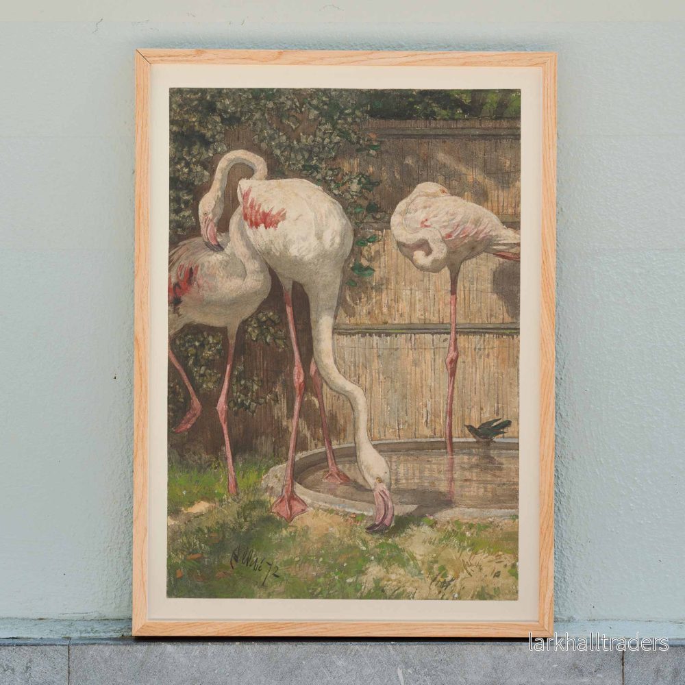 Tre flamingor Poster