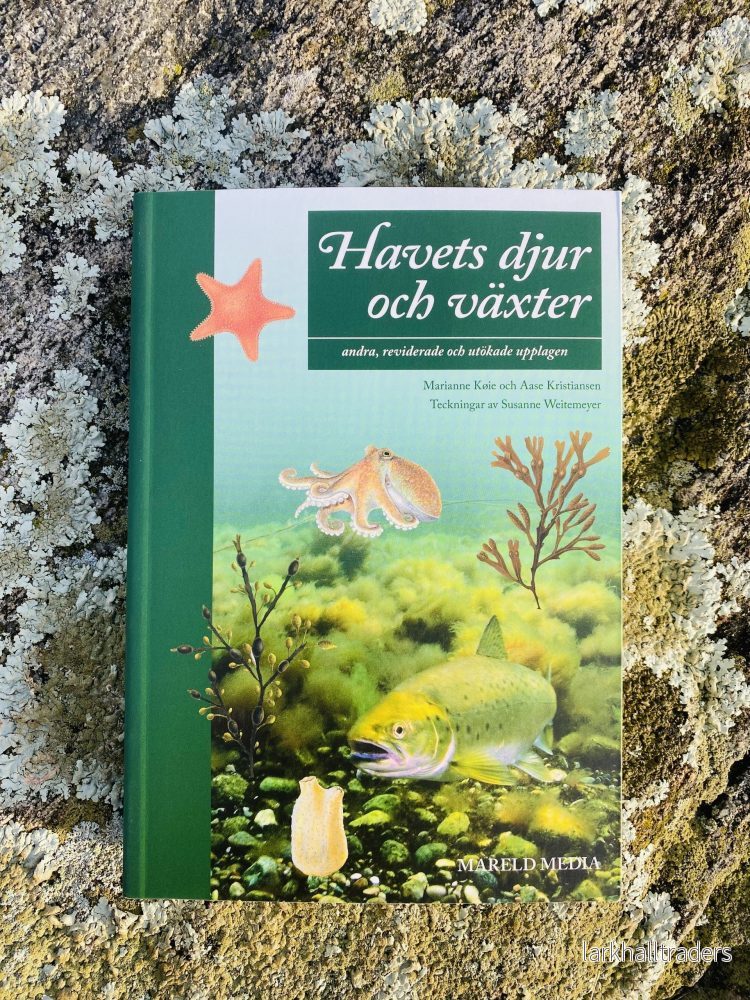 Havets djur och växter - Bild 3