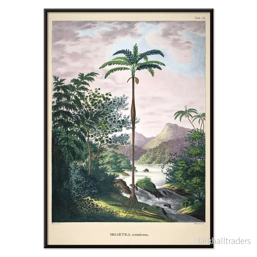 Iriartea Ventricosa Poster - Bild 2