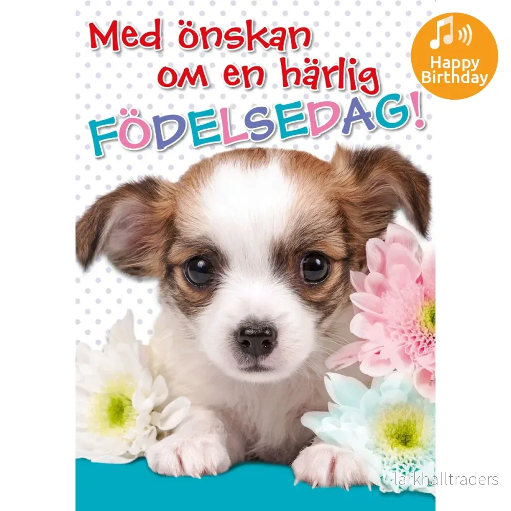 Dubbla kort med ljudeffekt, Härlig födelsedag Dubbla kort med ljudeffekt, Härlig födelsedag