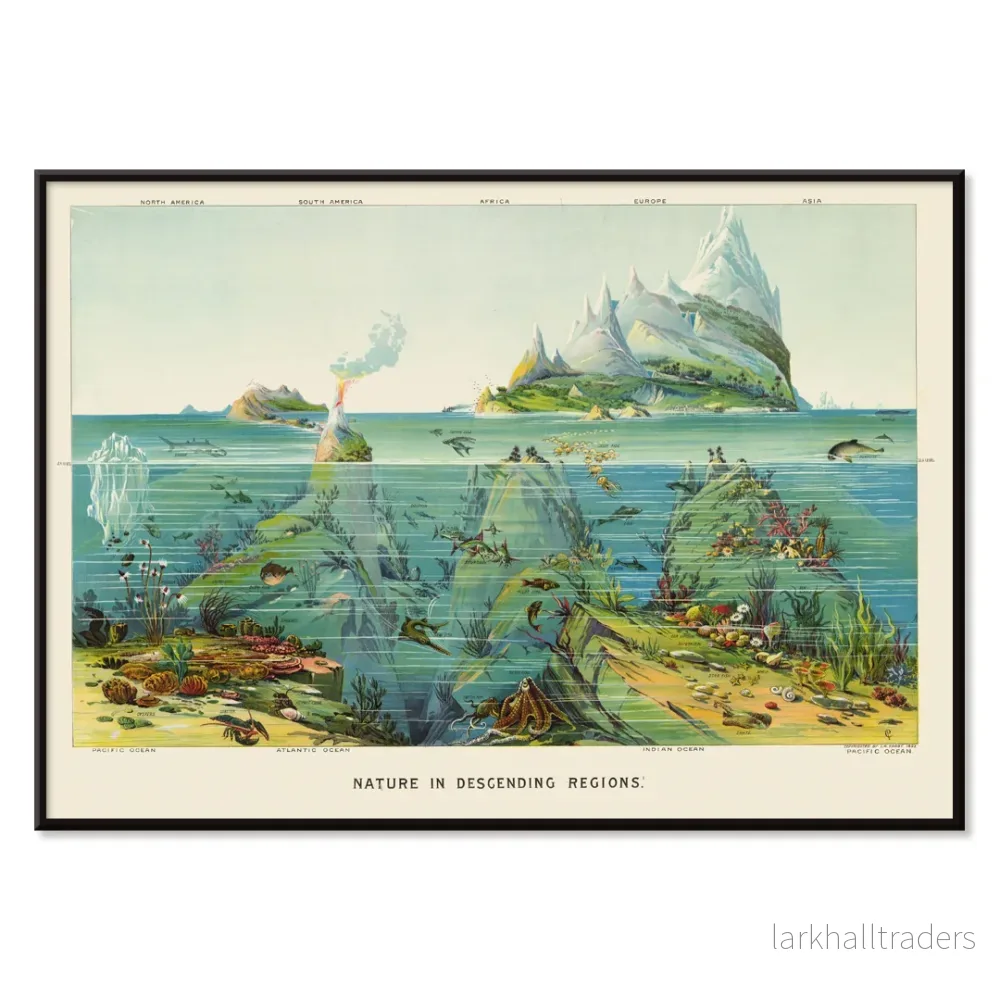 Nedåtgående zoner Poster - Bild 2
