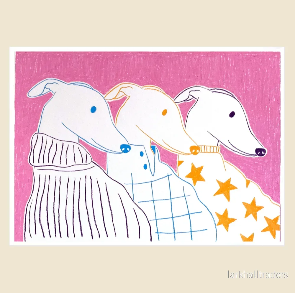 Galgos dogs teckning - Bild 2