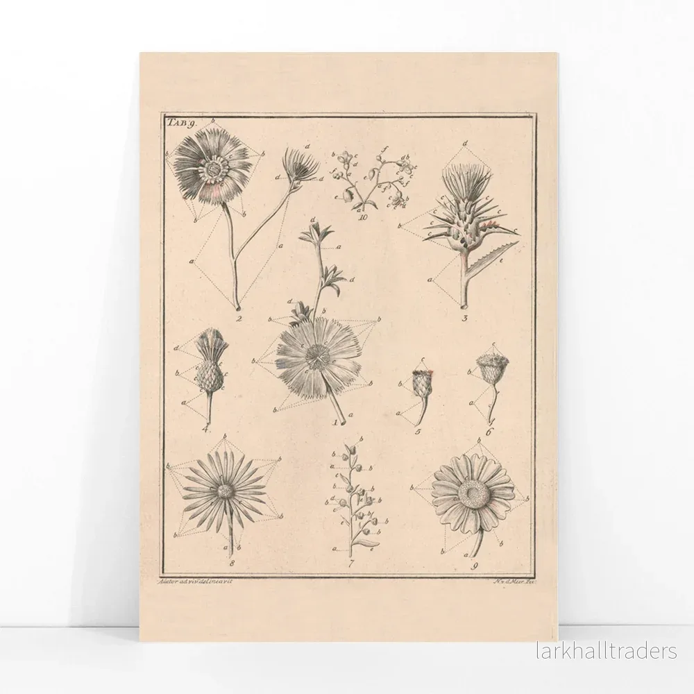 Blommor, Tab. 9 Poster - Bild 3