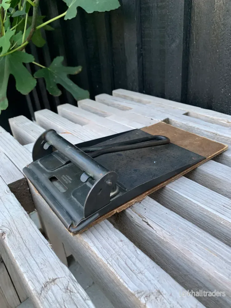 Rolig gammal hålslagare - Bild 2
