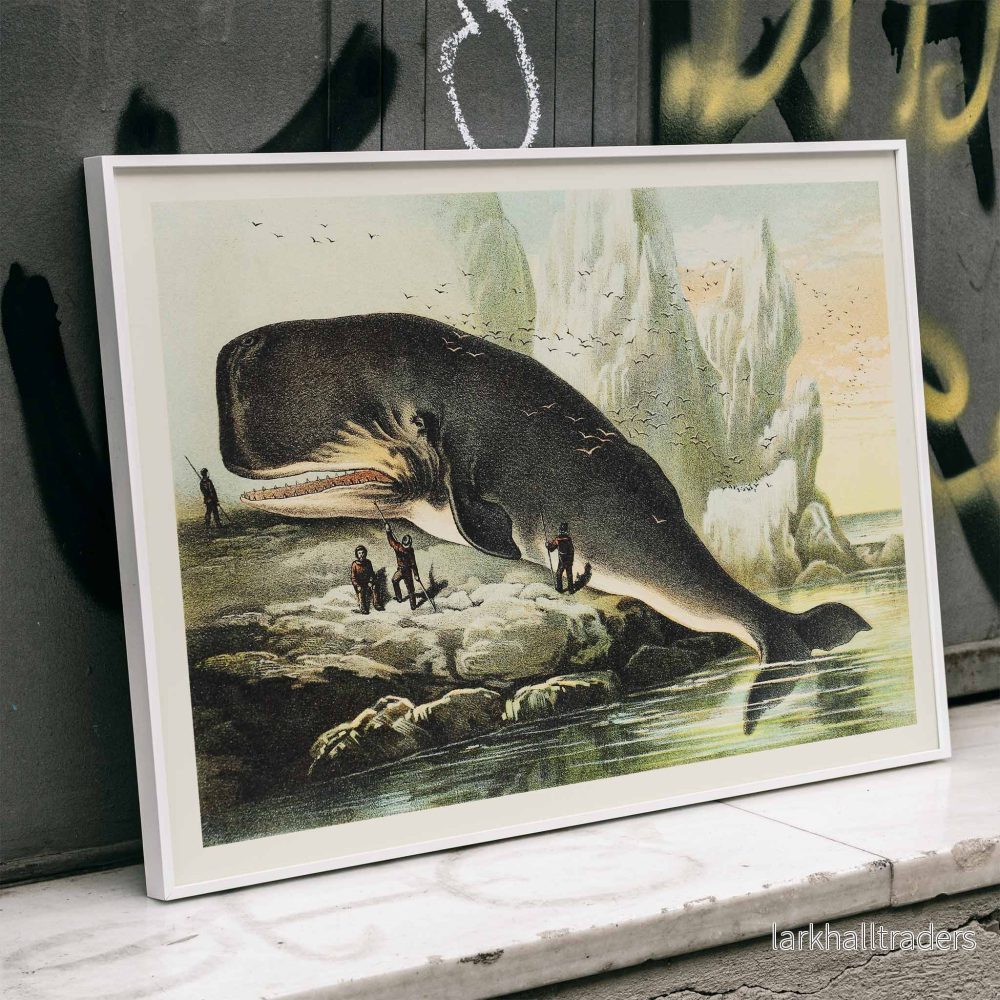 Kaskelot Poster - Bild 3