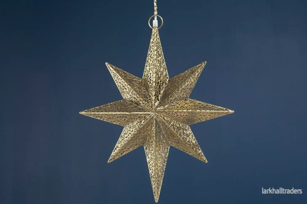 Julstjärna Vision - Bild 3