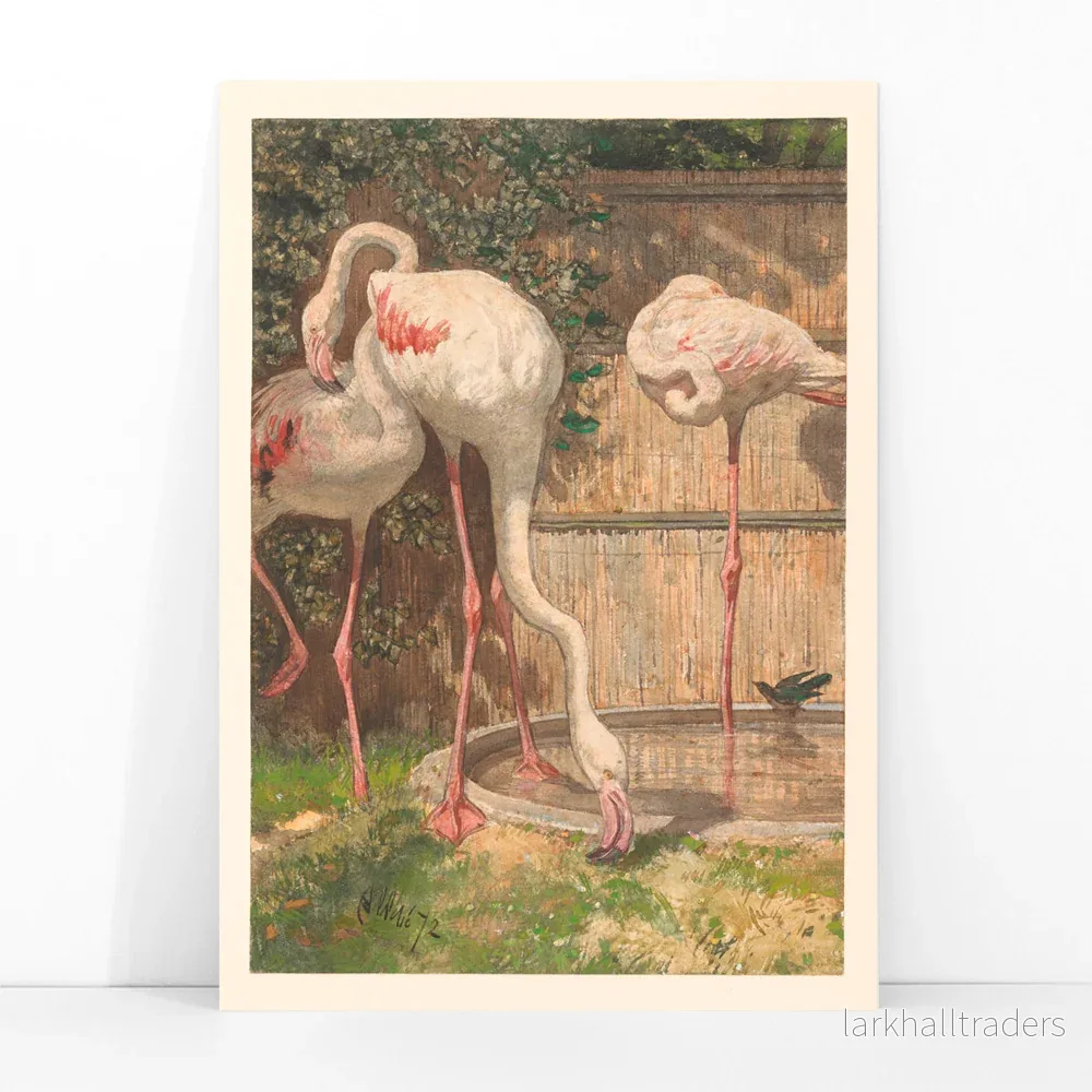 Tre flamingor Poster - Bild 3