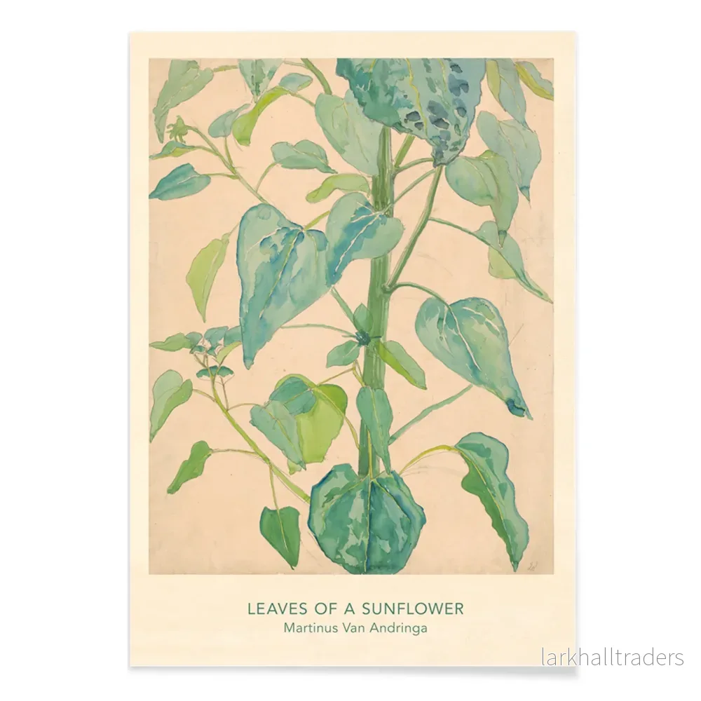 Blad av en solros Poster - Bild 2