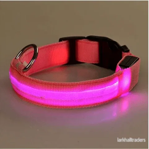 Hundhalsband med LED-lampor - Bild 2