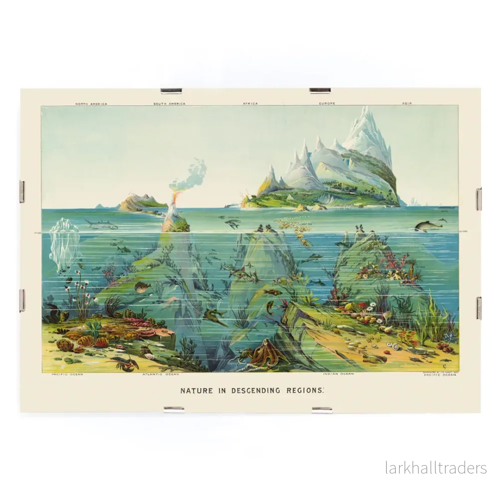 Nedåtgående zoner Poster - Bild 3