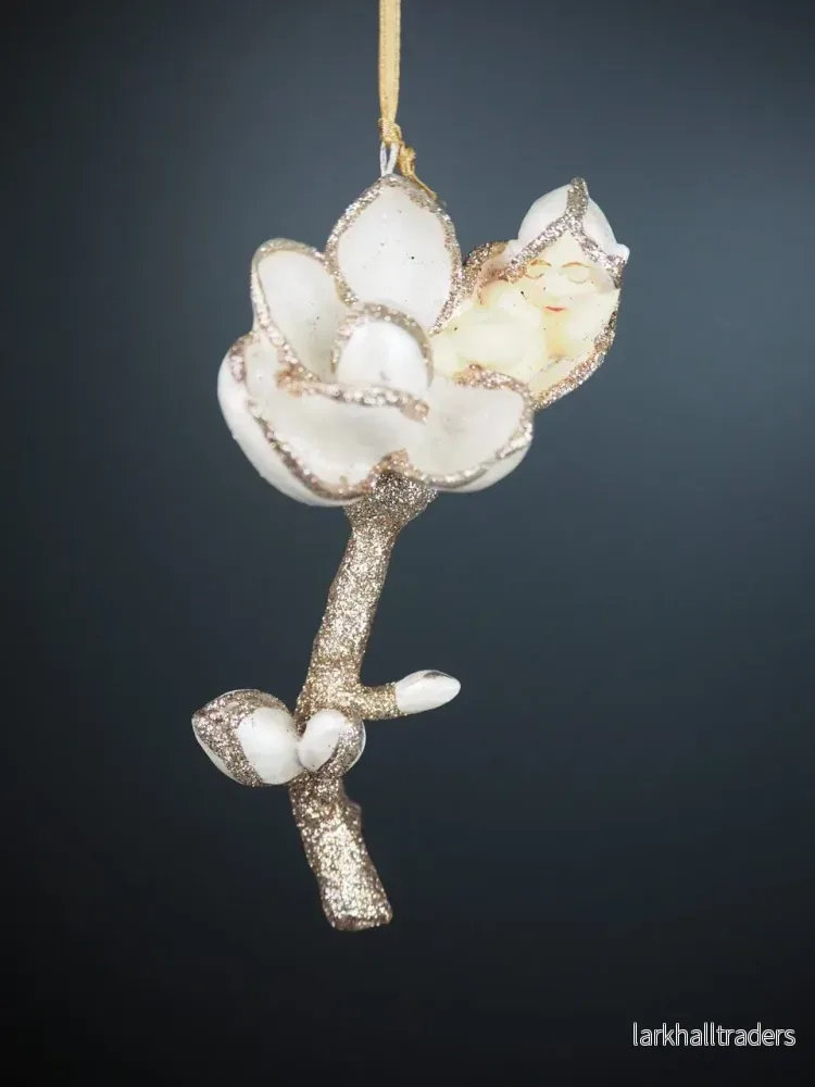 Jasmine baby pearl white Jasmine baby pearl white