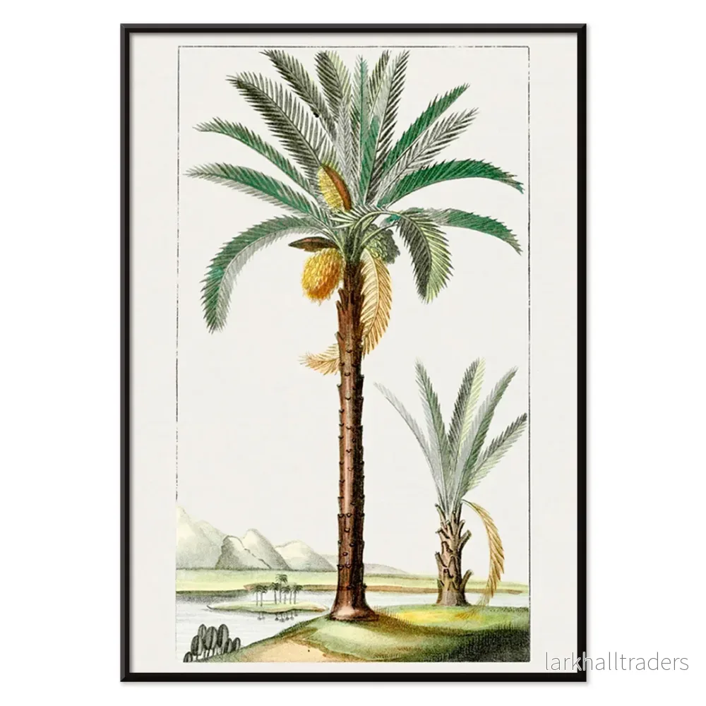 Handritad palm Poster - Bild 2