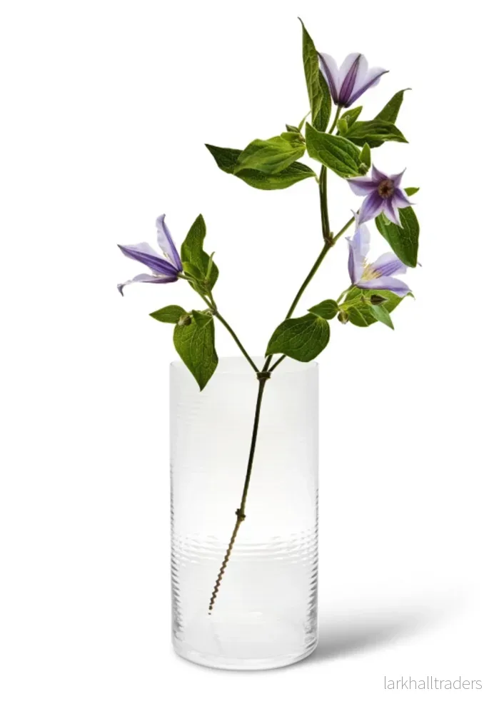 Vas Laine - Bild 2