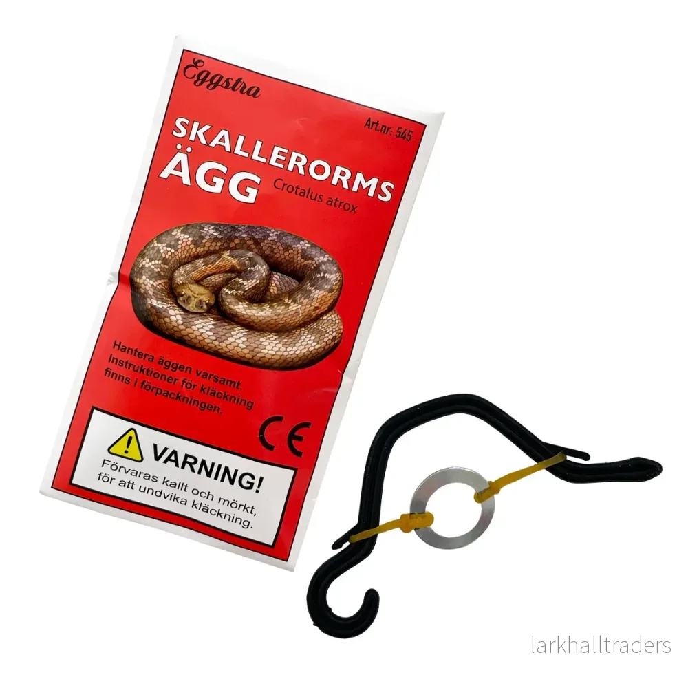 Skallerormsägg - Bild 2