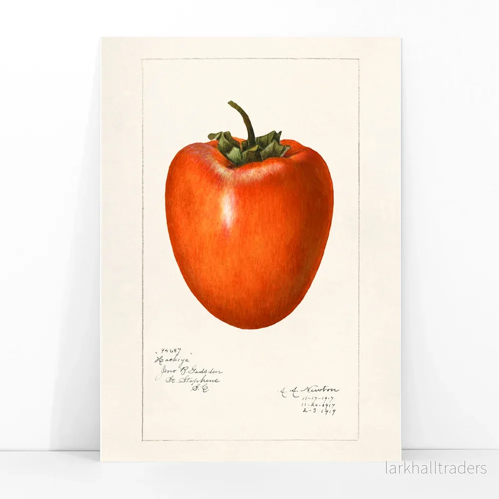 Kaki Poster - Bild 3