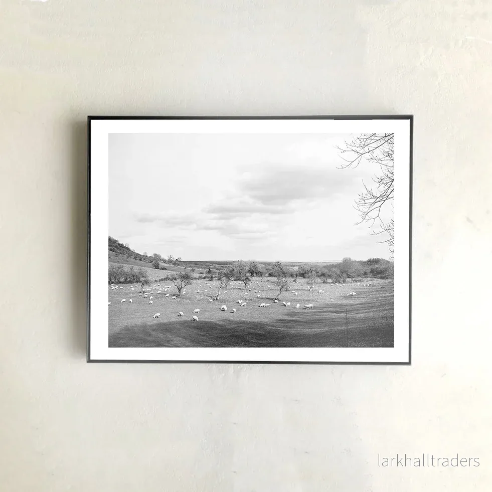 SC meadow Print - Bild 2