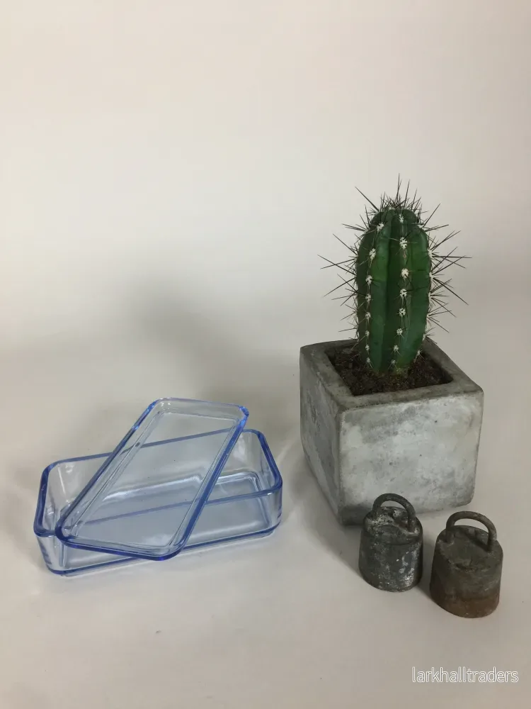 Fint och gammalt förvaringsglas med lock - Bild 3