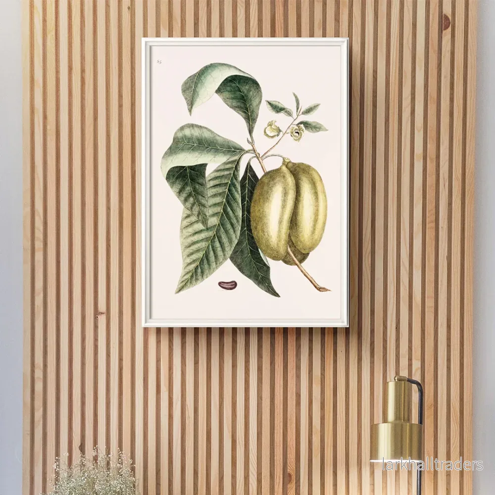 Pawpaw Poster Pawpaw Poster