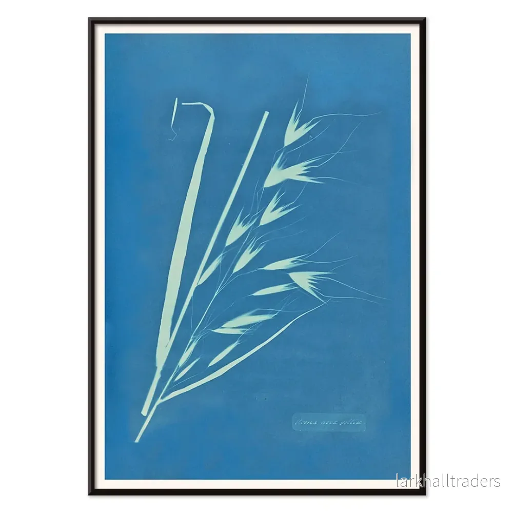 Uvena Novae Villiae Poster - Bild 2