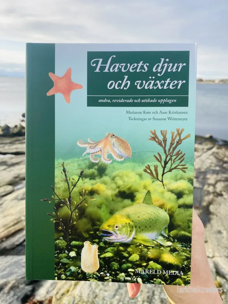 Havets djur och växter - Bild 2