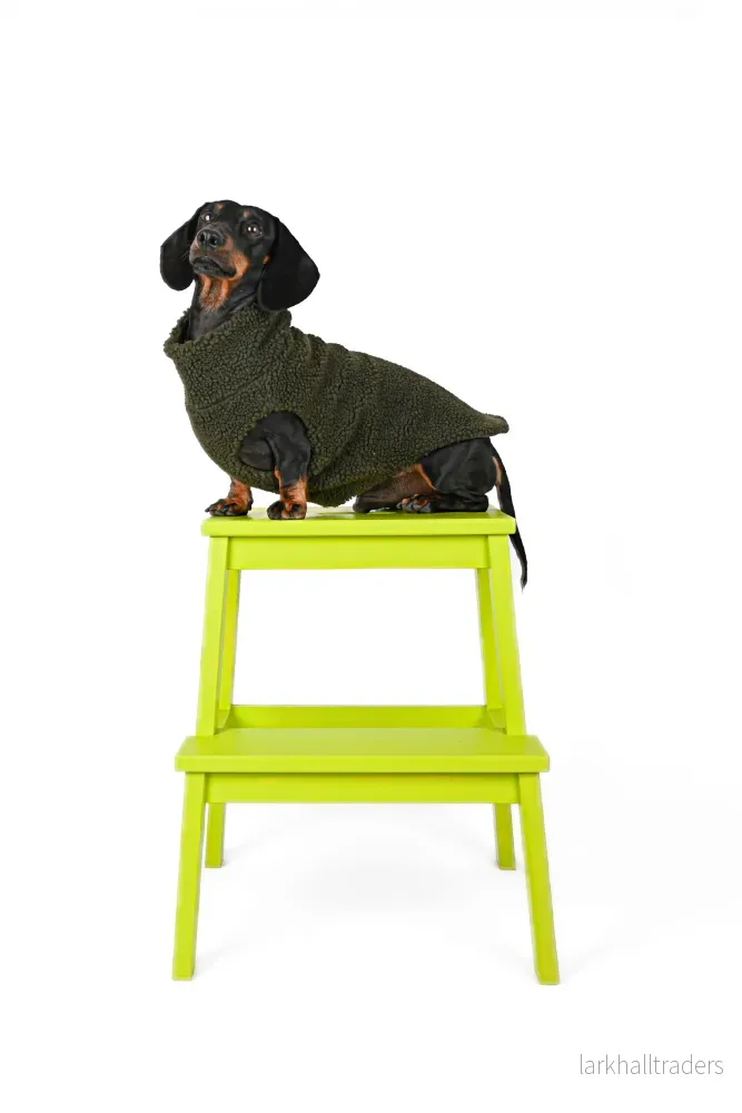 PILE SWEATER DACHSHUND - KHAKI - Bild 2