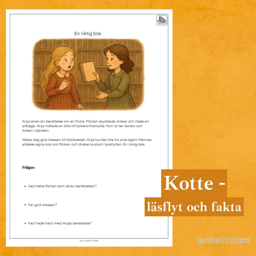 Differentierad läsförståelse - "En riktig bok", samma berättelse i fyra olika nivåer - Bild 2