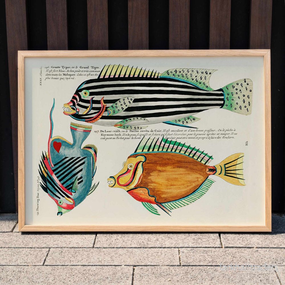 Färgstarka och surrealistiska fiskillustrationer 7 Poster
