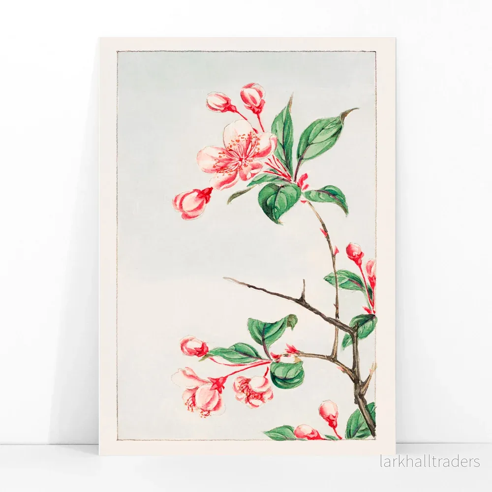 Kaido pyrus spectabalis Poster - Bild 3