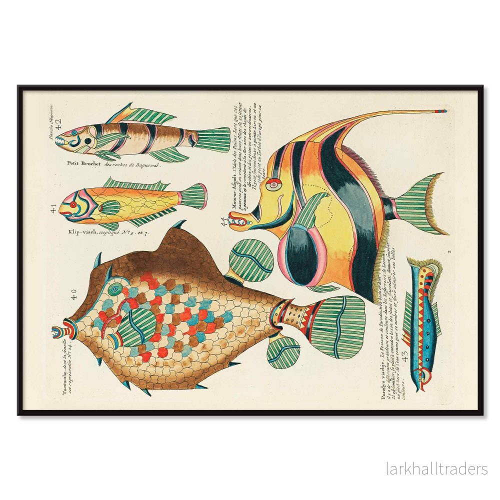 Färgstarka surrealistiska fiskillustrationer, 9 Poster - Bild 2