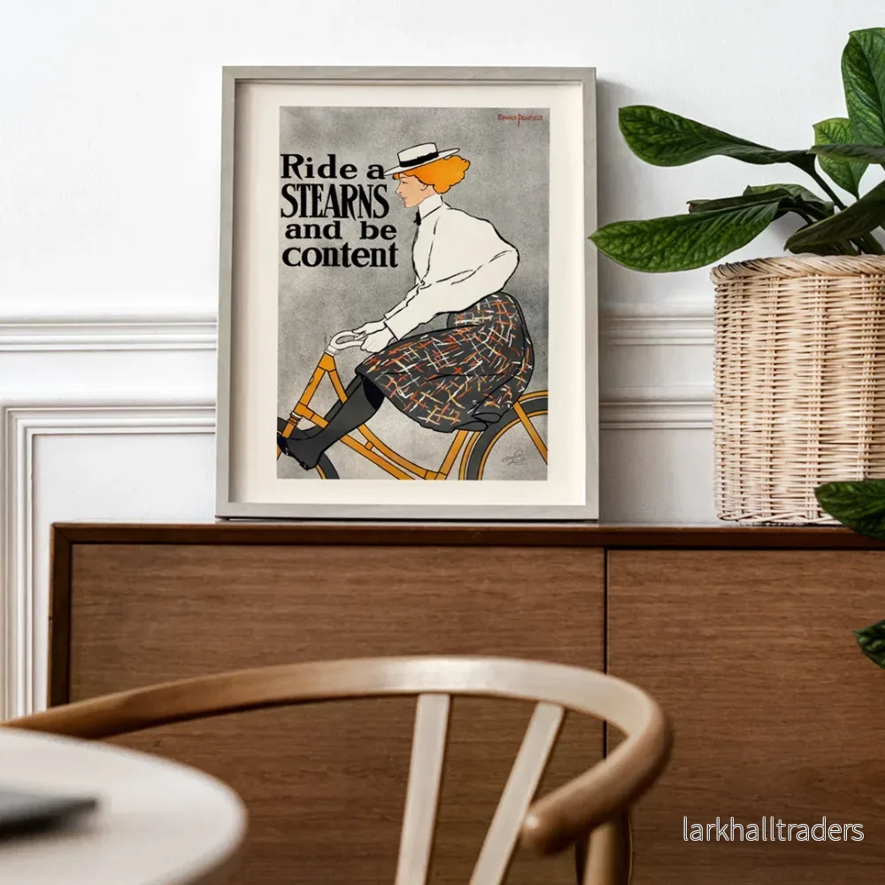 Cykla en Stearns och var nöjd Poster