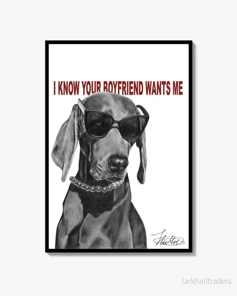 BOYFRIEND - Poster