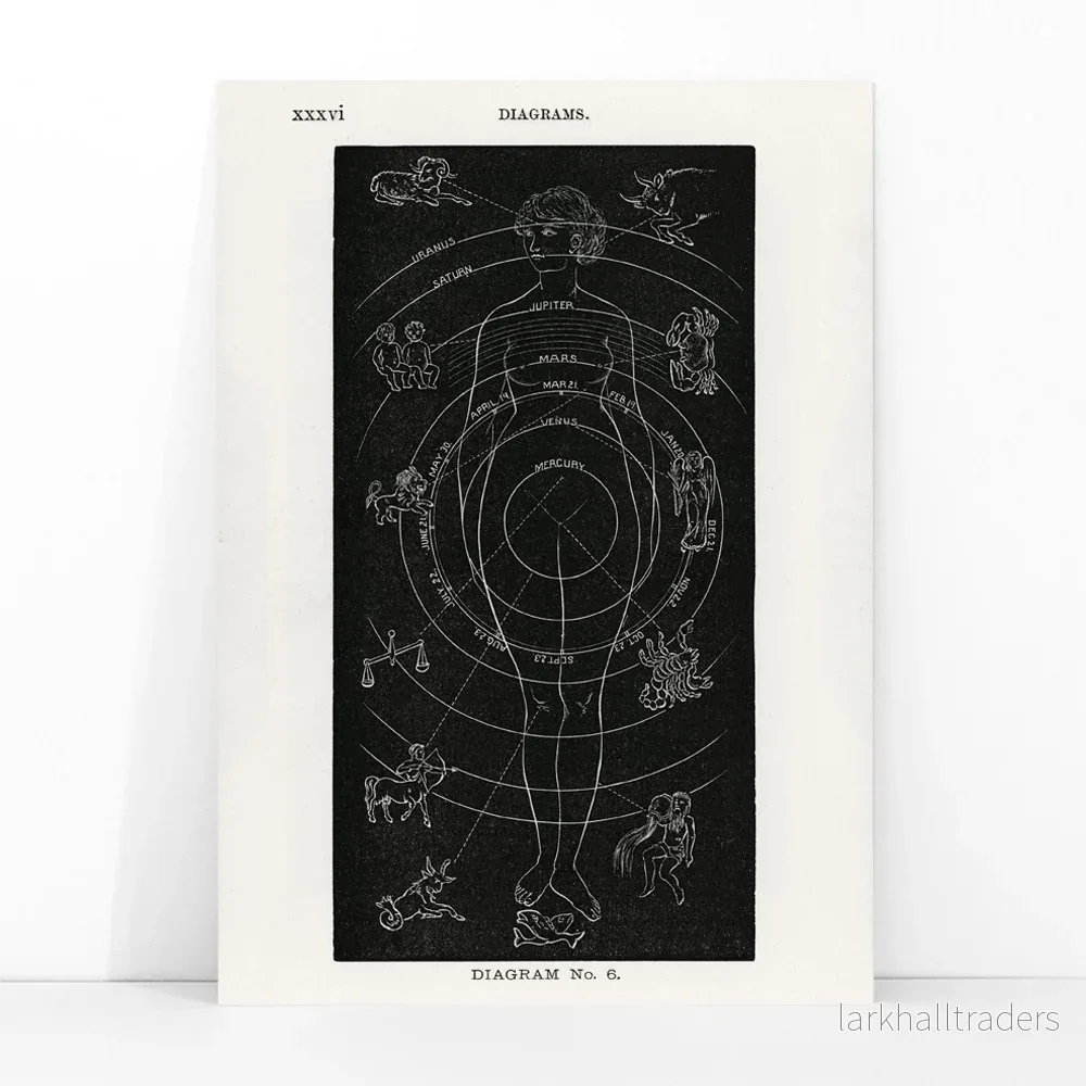 Diagram nr 6 Poster - Bild 3