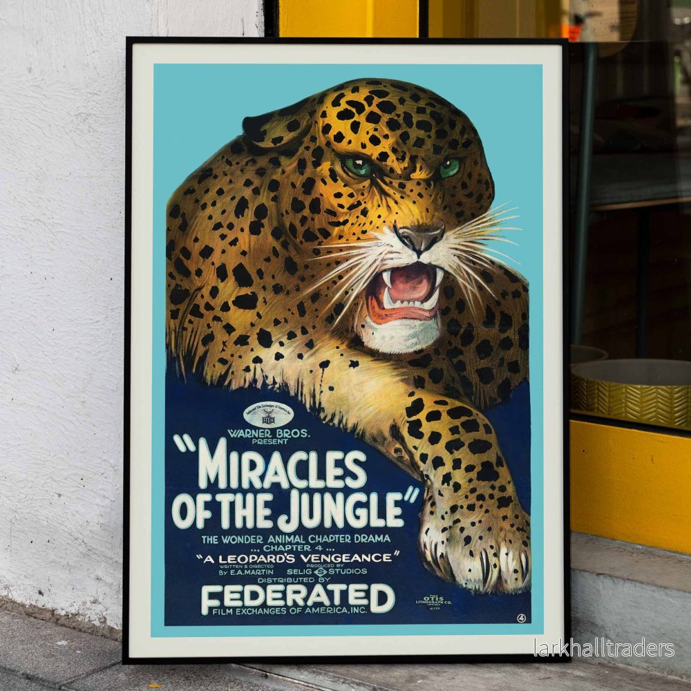 Mirakler i djungeln Poster Mirakler i djungeln Poster