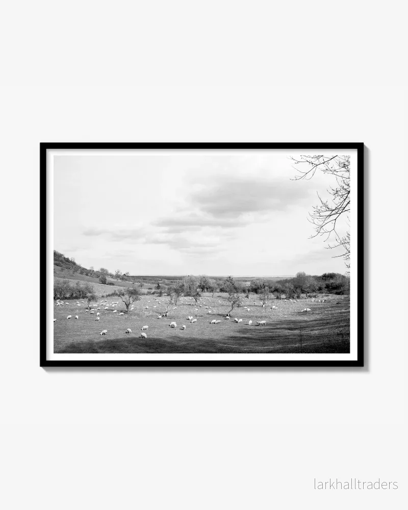 SC meadow Print SC meadow Print