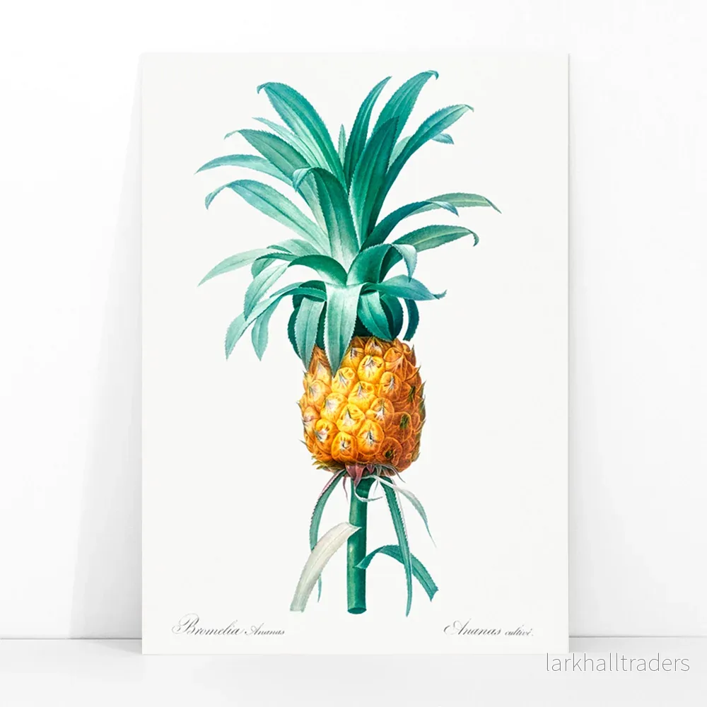 Ananas Poster - Bild 3