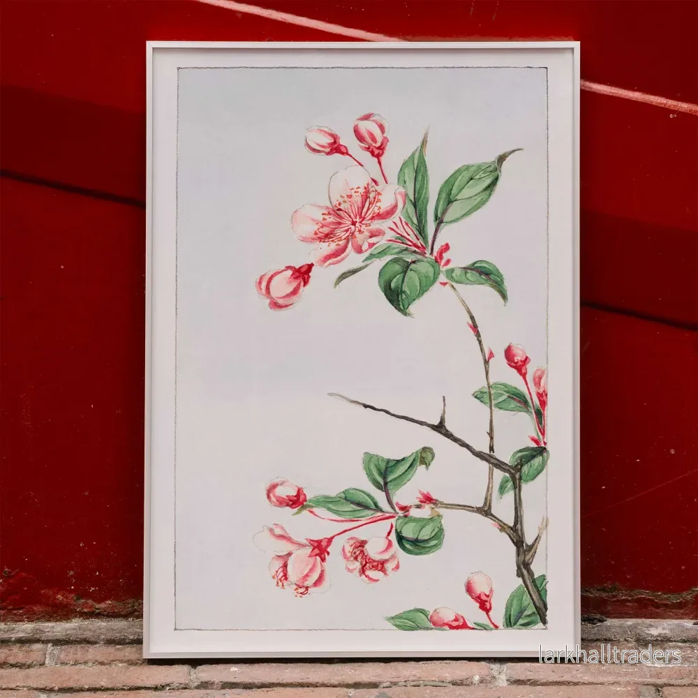Kaido pyrus spectabalis Poster Kaido pyrus spectabalis Poster