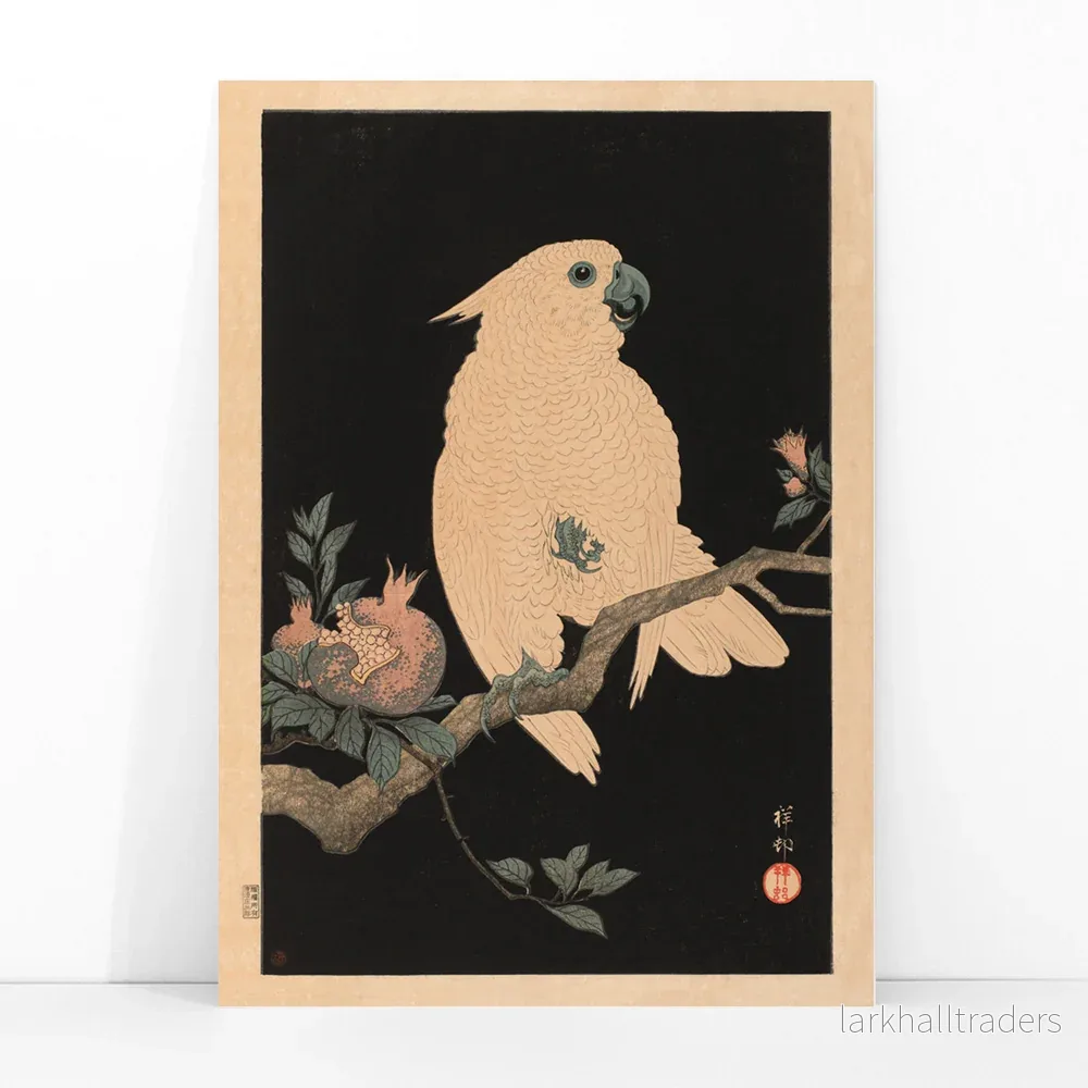 Kakadua med granatäpple Poster - Bild 3