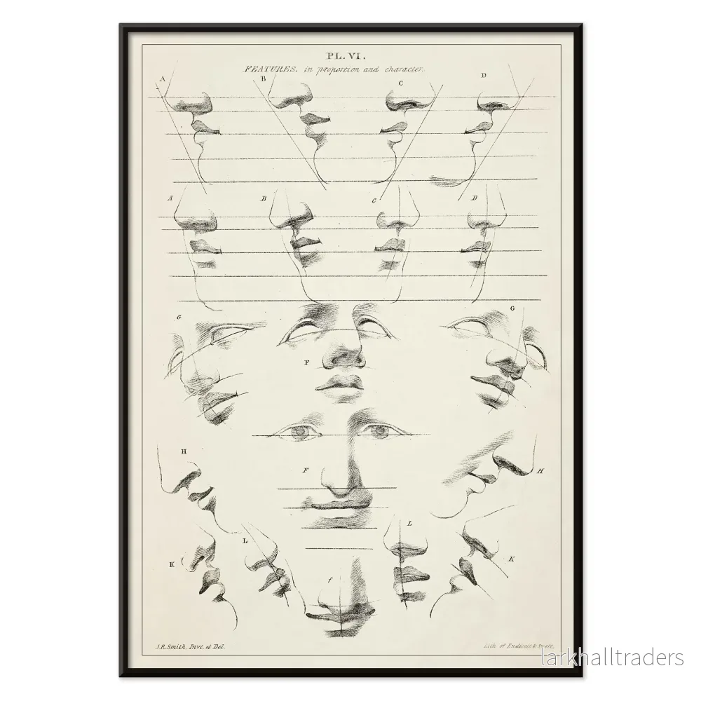 Key to the art of drawing the human figure Poster - Bild 2