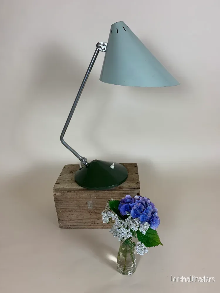 Fin och sällsynt Hala-lampa - Bild 2