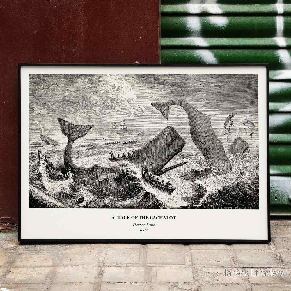 Kaskelotsattack Poster