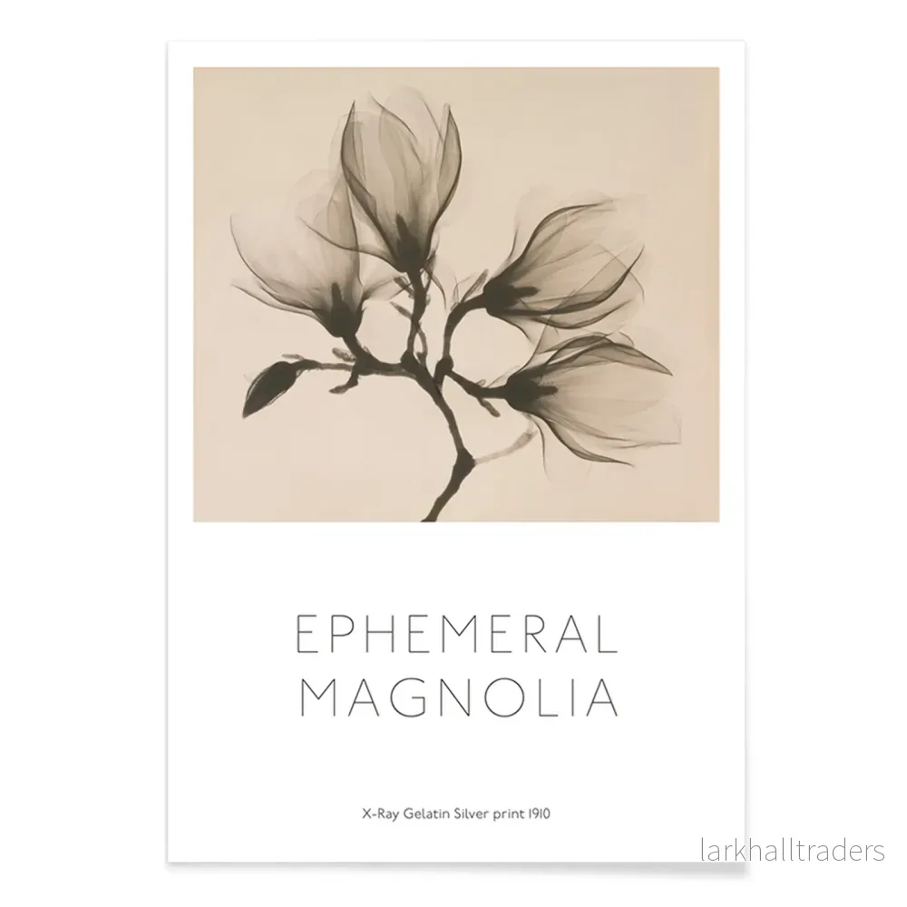 Magnoliakvist Poster - Bild 2