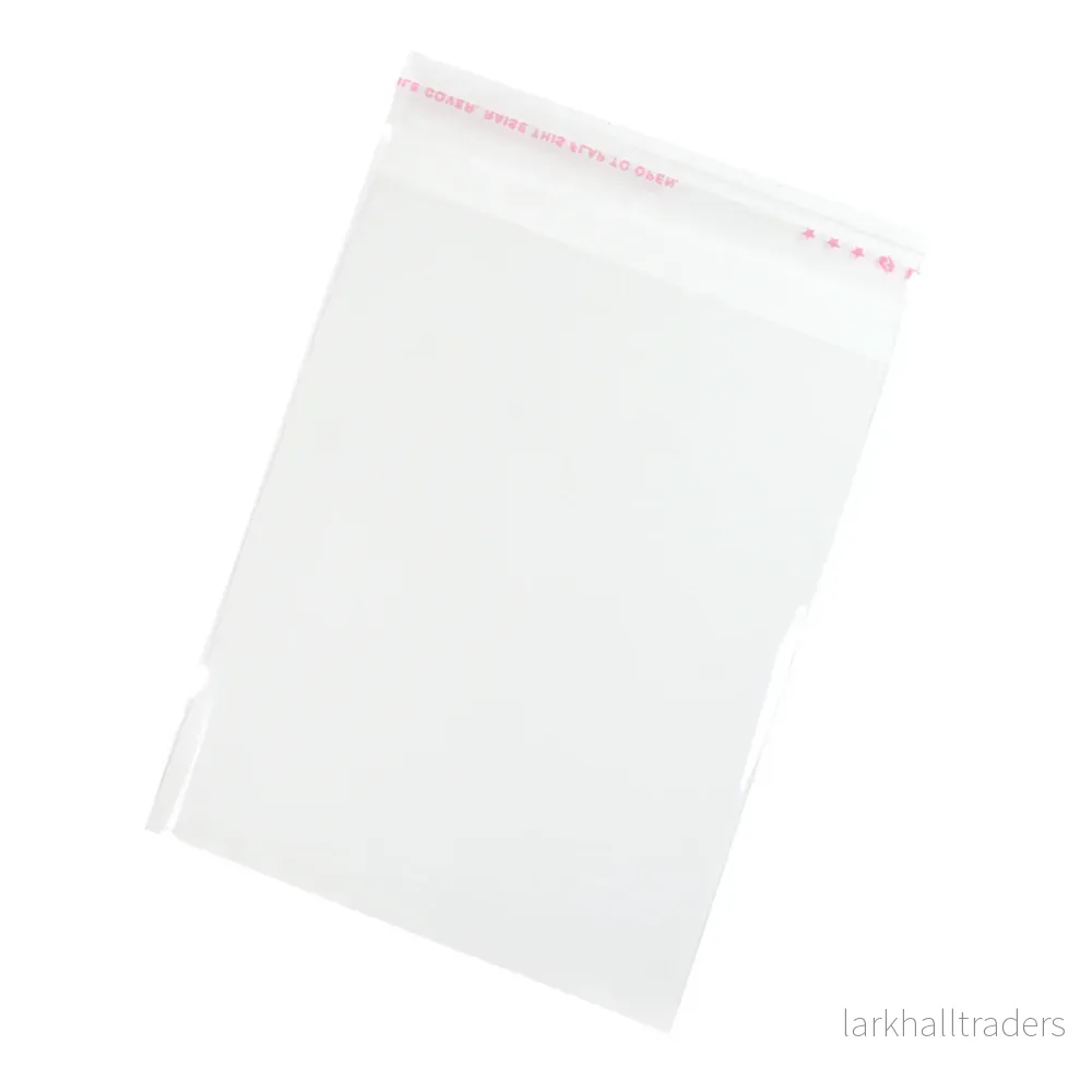 Transparenta plastpåsar, 10x16cm