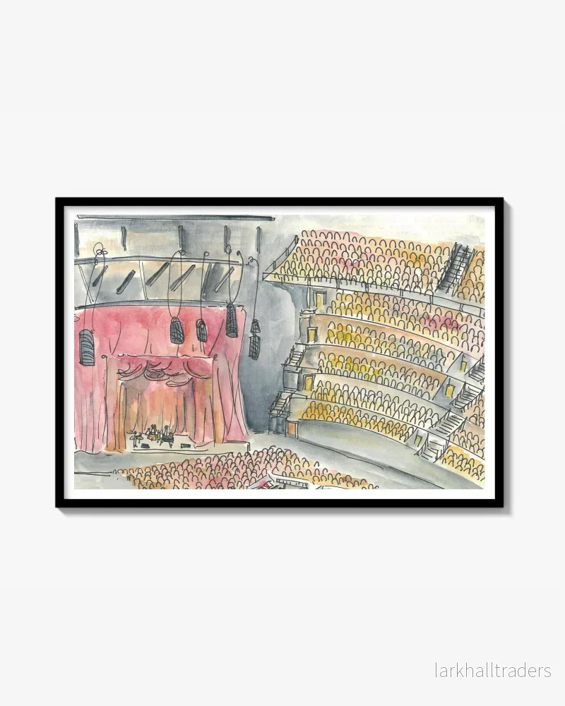 Bob Dylan concert Print