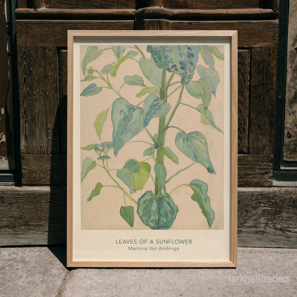 Blad av en solros Poster Blad av en solros Poster