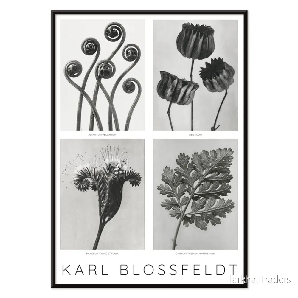 Blommor Poster 2 - Bild 2